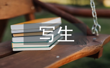 寫生實訓(xùn)總結(jié)