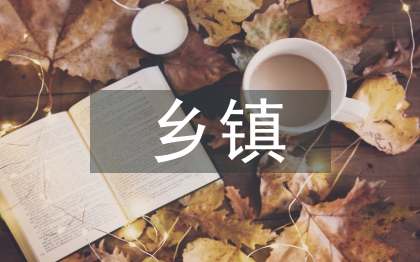 鄉(xiāng)鎮(zhèn)大學(xué)生村官工作