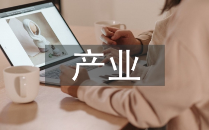 信息安全產(chǎn)業(yè)市場