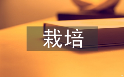 黃瓜栽培管理技術(shù)
