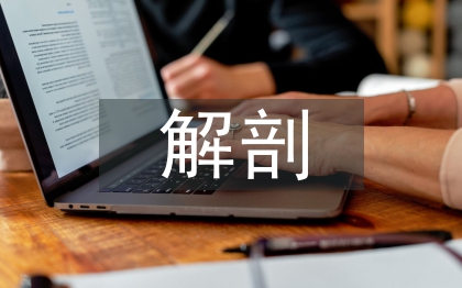 解剖論文