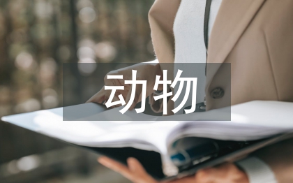 動(dòng)物醫(yī)學(xué)專業(yè)論文