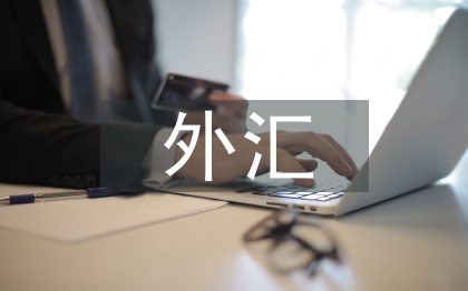 外匯實訓總結(jié)