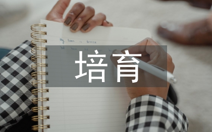 團隊精神培育