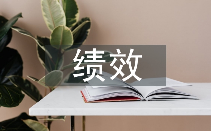 績效審計的主要內(nèi)容