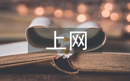 青少年上網(wǎng)調(diào)查報(bào)告
