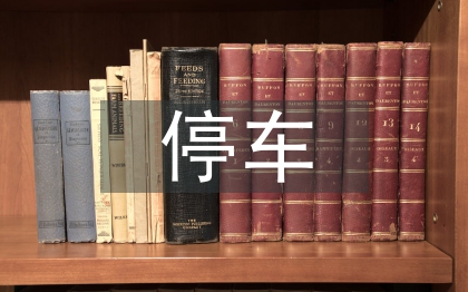 停車調(diào)查報告