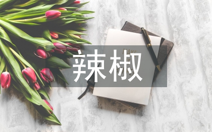 辣椒育苗技術(shù)
