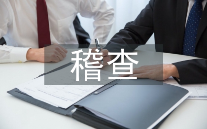 稽查工作要點(diǎn)