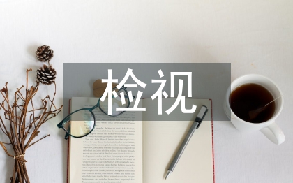師德師風(fēng)檢視總結(jié)