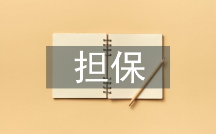 小微企業(yè)融資擔(dān)保存在的問(wèn)題及對(duì)策