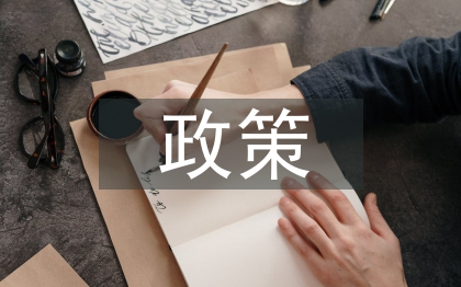 民營企業(yè)的政策