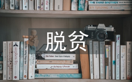 村脫貧攻堅工作總結(jié)