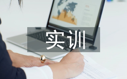 收入實(shí)訓(xùn)總結(jié)