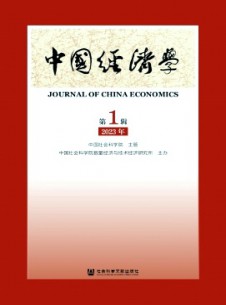 中國經(jīng)濟學(xué)
