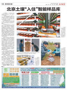 北京晚報