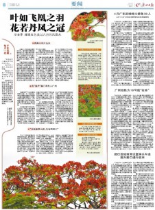 廣州日?qǐng)?bào)