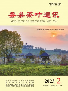 茶?？萍寂c信息雜志