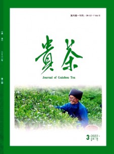 貴茶雜志